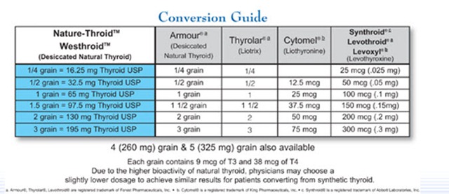 Synthroid Armour Conversion Chart